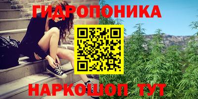 кокс Тверь