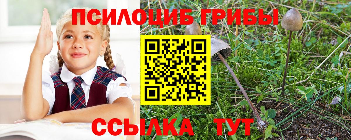Нижний Новгород  Псилоцибиновые грибы Magic Shrooms  Вход с VPN 