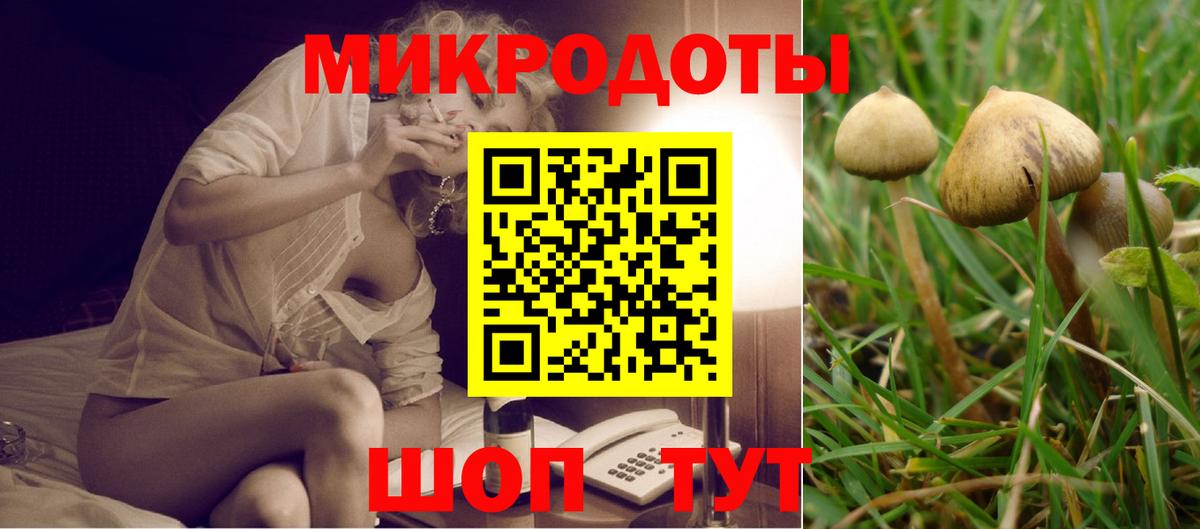 Галлюциногенные грибы GOLDEN TEACHER Нижний Новгород